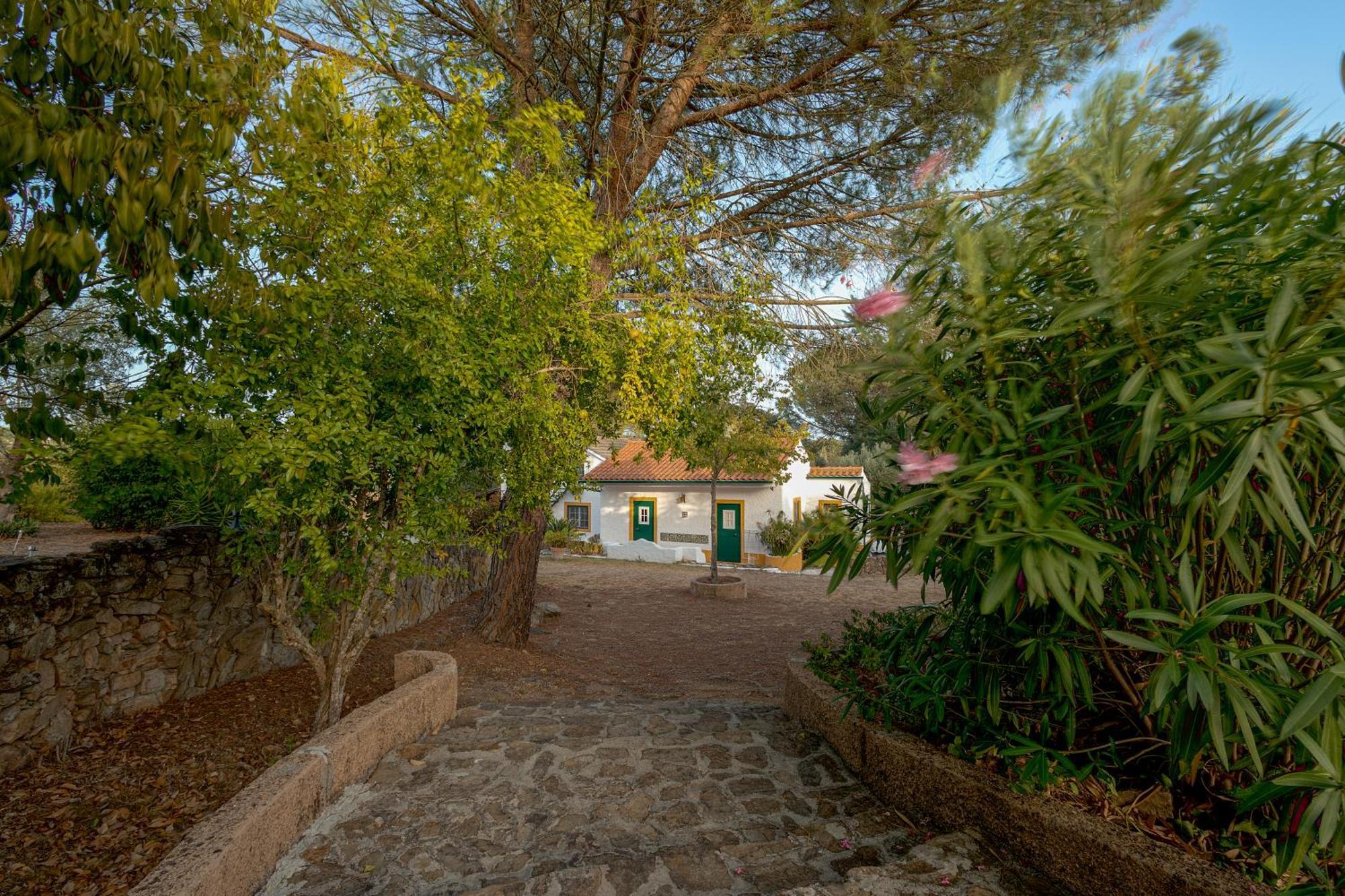 Villa Casa Do Vale Sao Pedro de Tomar Exterior foto