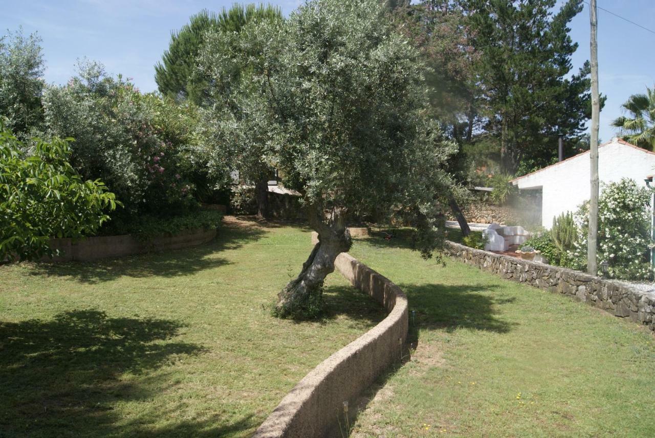 Villa Casa Do Vale Sao Pedro de Tomar Exterior foto